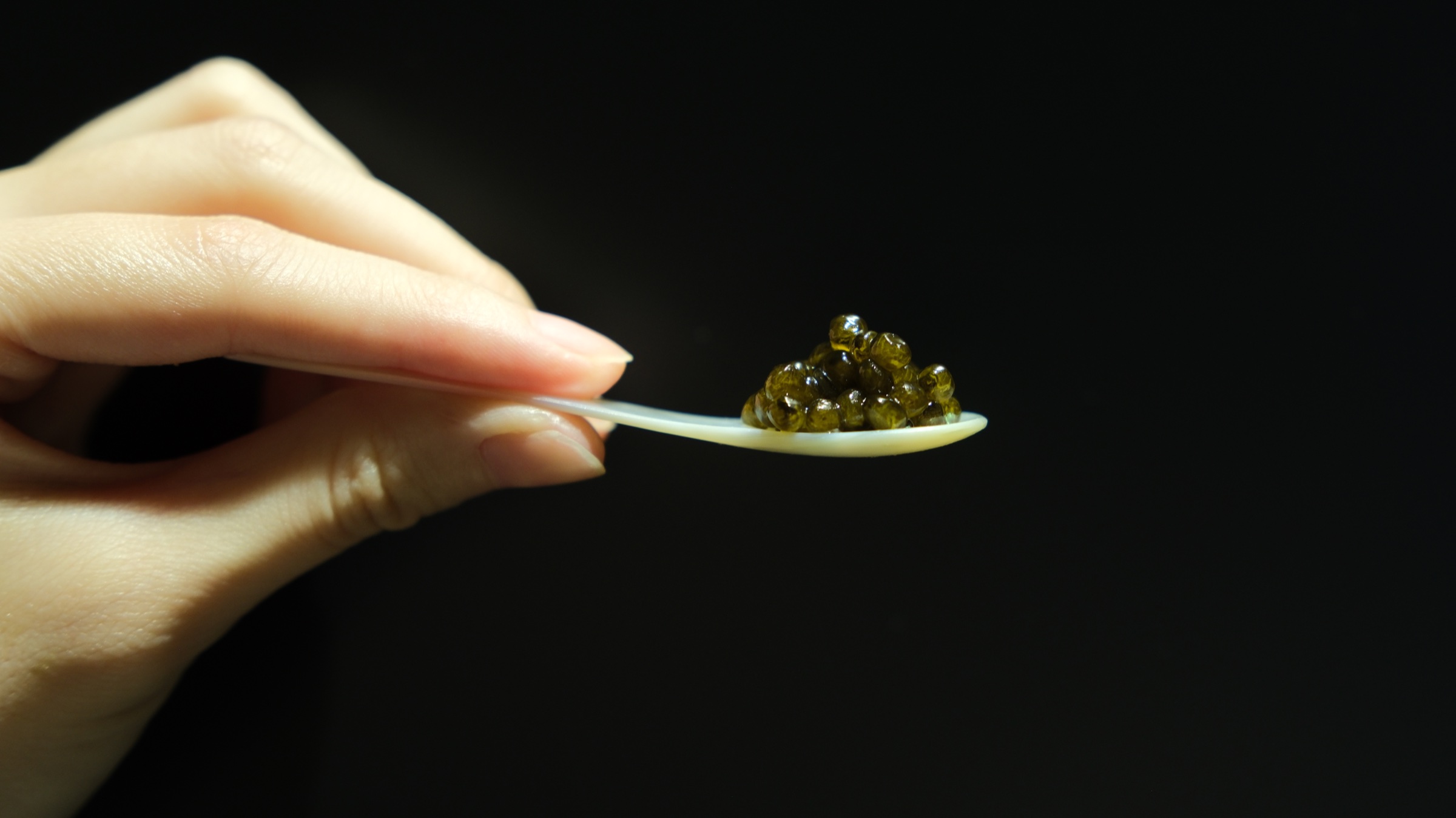 A tasting of caviar held on a mother-of-pearl spoon