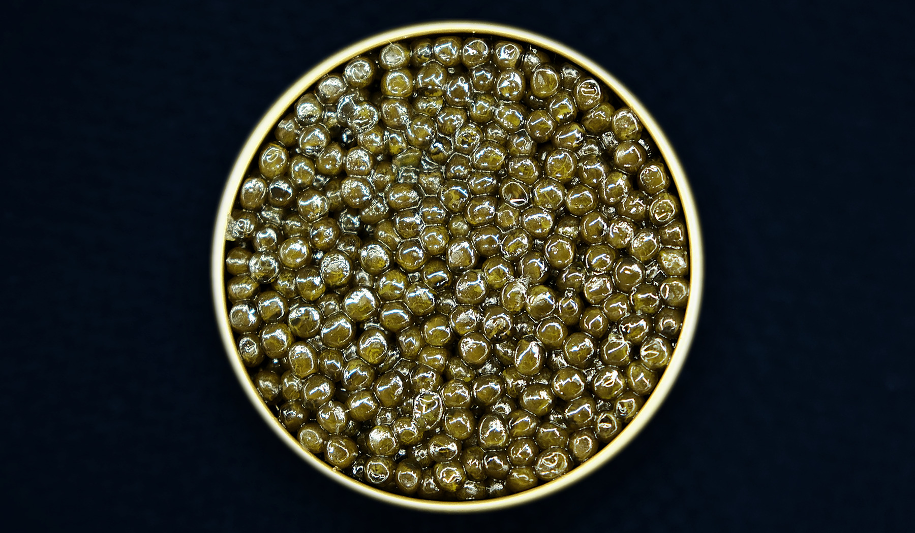 Closer view of an open tin of AMANO Ossetra Hybrid caviar; natural batches vary